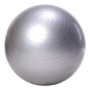 Exercise Ball Yoga Ball Free Pump- Burst Resistant Fitness Balls,75/65cm,Ideal for Yoga Pilaties Abs and Core Workouts blue/gray