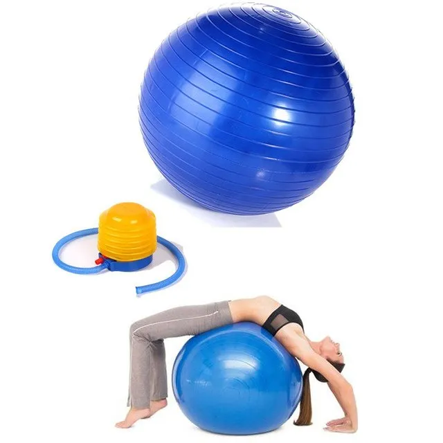 Exercise Ball Yoga Ball Free Pump- Burst Resistant Fitness Balls,75/65cm,Ideal for Yoga Pilaties Abs and Core Workouts blue/gray